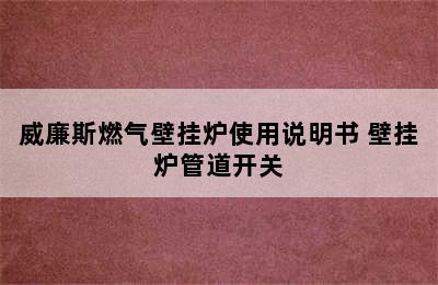 威廉斯燃气壁挂炉使用说明书 壁挂炉管道开关